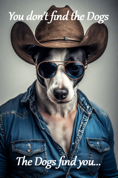 You don't find the Dogs, the Dogs find YOU.